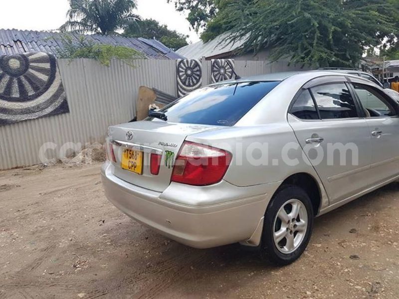 Big with watermark 48404714 160725651565680 8471022272017072128 n