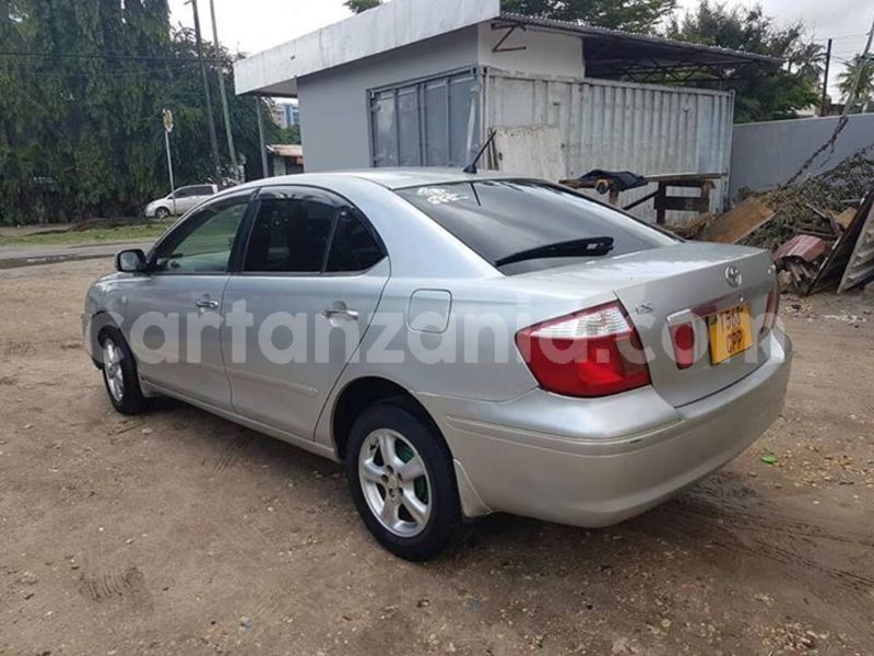 Big with watermark 48956040 160725711565674 4060431376917200896 n