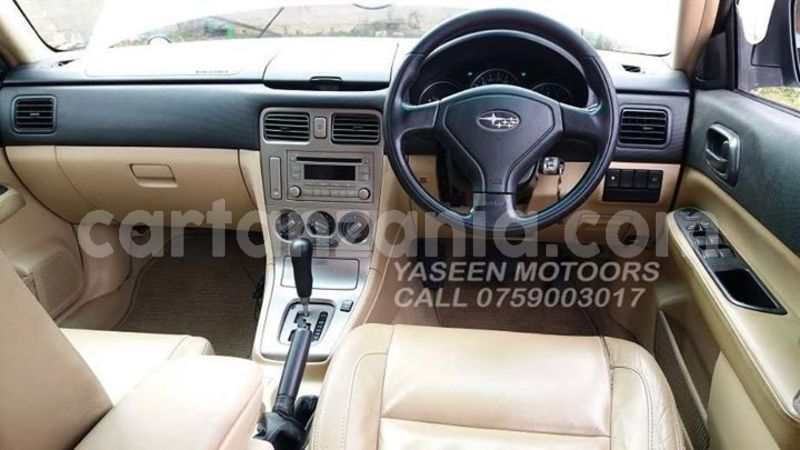 Big with watermark 52332978 593355531091306 2113674764957515776 n