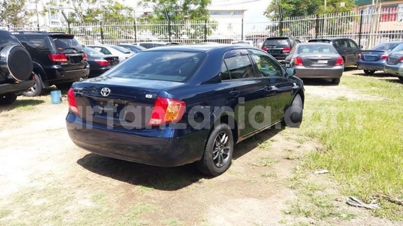 Big with watermark 49114105 572856049807921 8334228693215870976 n