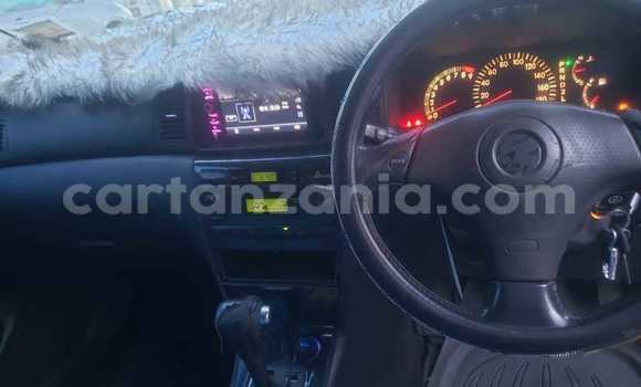 Nunua Ilio tumika Toyota Allex Nyeusi Gari ndani ya Bahi nchini Dodoma Nunua Ilio tumika Toyota Allex Nyeusi Gari ndani ya Bahi nchini Dodoma