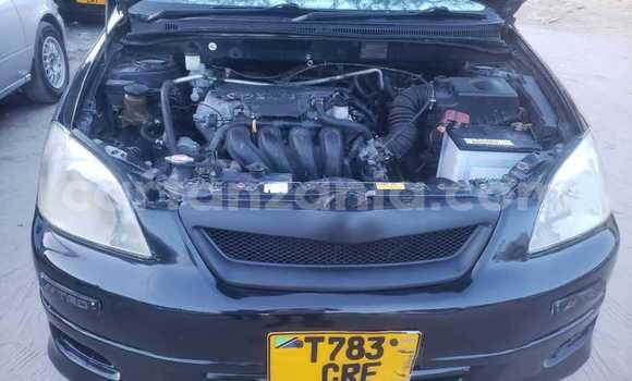 Nunua Ilio tumika Toyota Allex Nyeusi Gari ndani ya Bahi nchini Dodoma Nunua Ilio tumika Toyota Allex Nyeusi Gari ndani ya Bahi nchini Dodoma