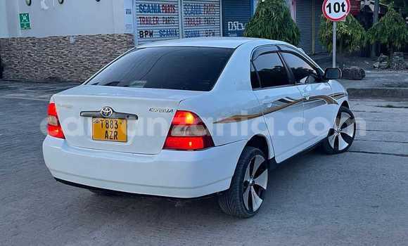 Nunua Ilio tumika Toyota Corolla Nyeupe Gari ndani ya Bagamoyo nchini Pwani Nunua Ilio tumika Toyota Corolla Nyeupe Gari ndani ya Bagamoyo nchini Pwani