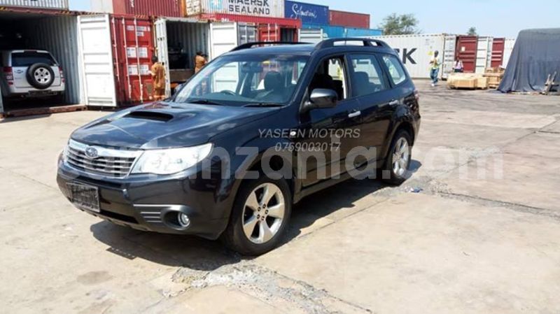 Big with watermark 41971027 520599378366922 6107724978478645248 o