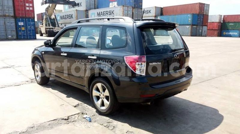 Big with watermark 42231086 520599495033577 4148096684540297216 o