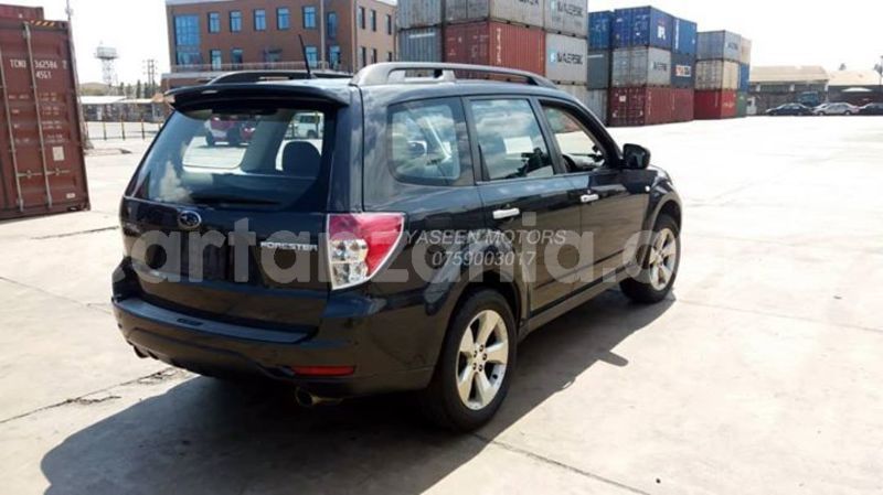 Big with watermark 42098048 520599555033571 6803728539079147520 o