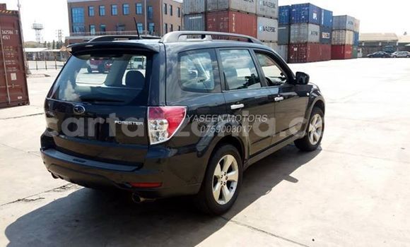 Buy Used Subaru Forester Black Car in Dar es Salaam in Dar es Salaam Buy Used Subaru Forester Black Car in Dar es Salaam in Dar es Salaam