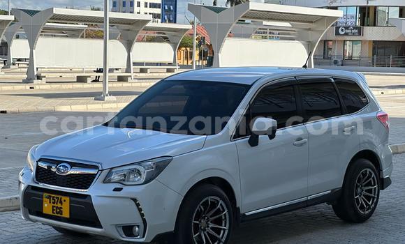 Nunua Ilio tumika Subaru Forester Nyeupe Gari ndani ya Dar es Salaam nchini Dar es Salaam Nunua Ilio tumika Subaru Forester Nyeupe Gari ndani ya Dar es Salaam nchini Dar es Salaam