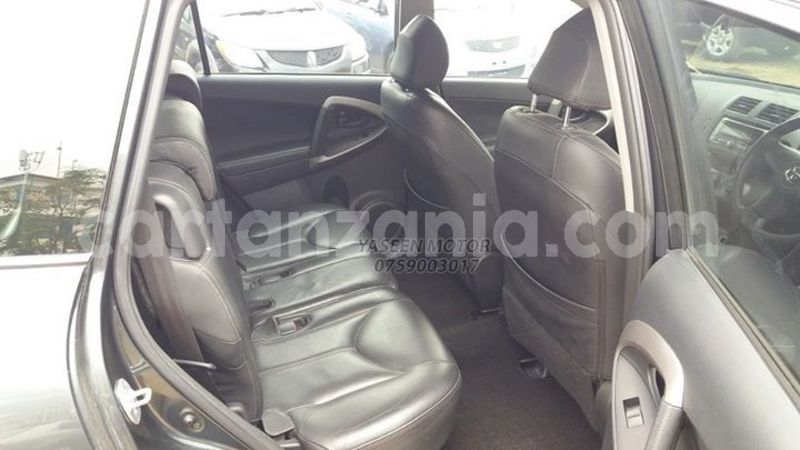 Big with watermark 41221487 516230892137104 2595036531781533696 n