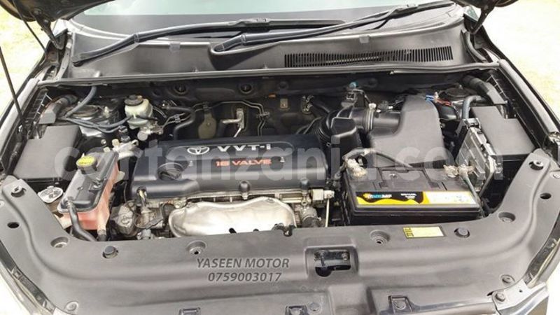 Big with watermark 41454947 516230932137100 6588366964618428416 n