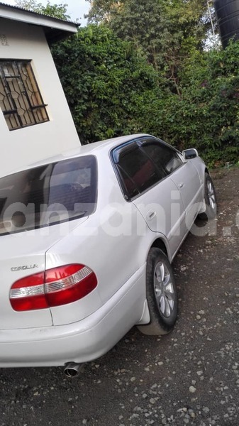 Big with watermark img 20181115 wa0004