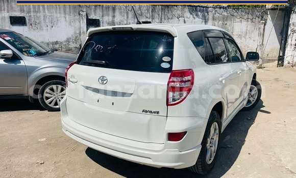 Buy New Toyota RAV4 White Car in Dar es Salaam in Dar es Salaam Buy New Toyota RAV4 White Car in Dar es Salaam in Dar es Salaam
