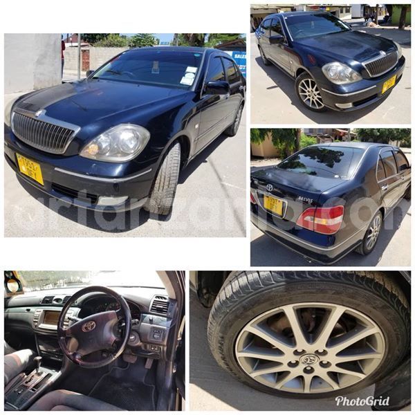 Big with watermark 52582514 2228837184023007 2315170011733295104 n