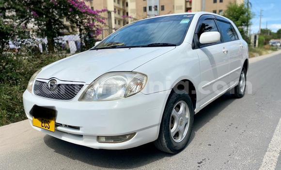 Buy Used Toyota Runx White Car in Dar es Salaam in Dar es Salaam Buy Used Toyota Runx White Car in Dar es Salaam in Dar es Salaam