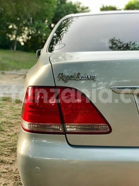 Big with watermark 52588572 2220884764897257 1339445131043930112 n