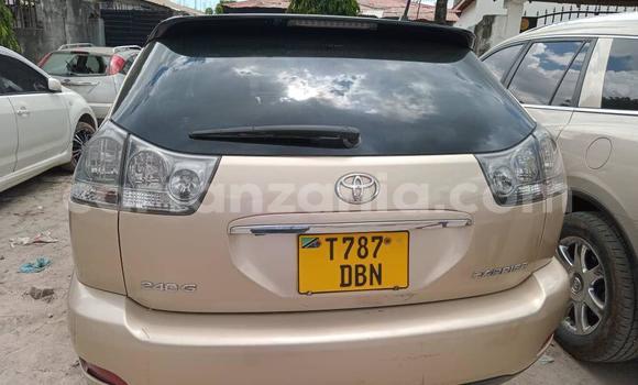 海外ブランド  Santanna john sale for cars 72 - tanzania in dealer car 小物