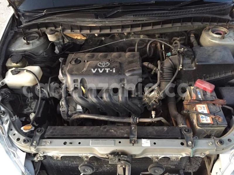 Big with watermark 52630306 528350171007251 2412741657129648128 n