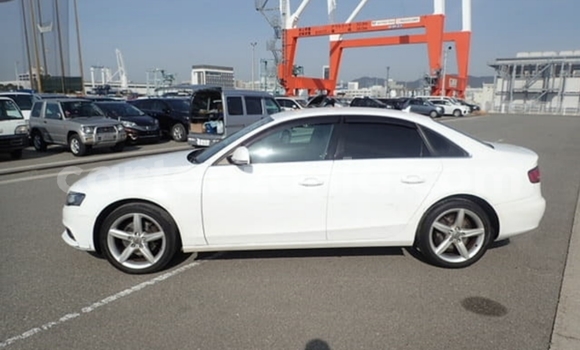 Buy Import Audi A4 White Car in Dar es Salaam in Dar es Salaam Buy Import Audi A4 White Car in Dar es Salaam in Dar es Salaam