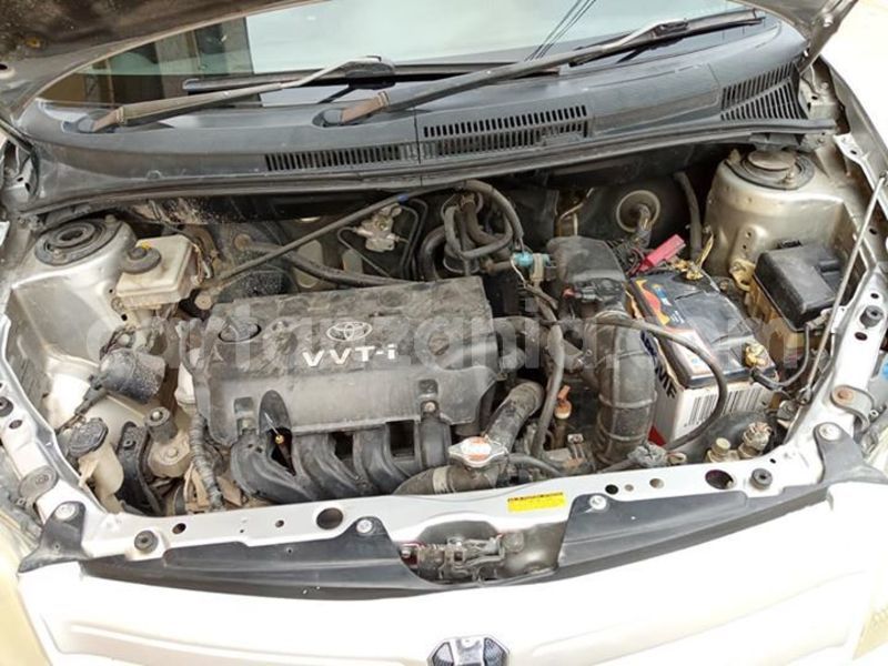 Big with watermark 51791336 527151557793779 1781240830208507904 n