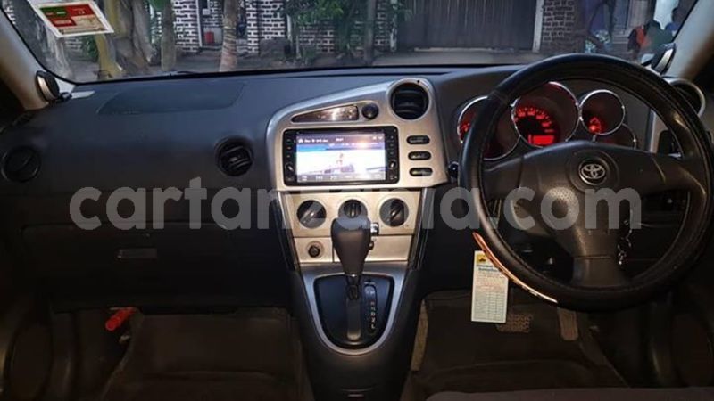 Big with watermark 51794097 527166064458995 2731377756037185536 n