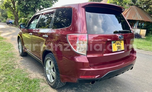 Buy Used Subaru Forester Other Car in Dar es Salaam in Dar es Salaam Buy Used Subaru Forester Other Car in Dar es Salaam in Dar es Salaam