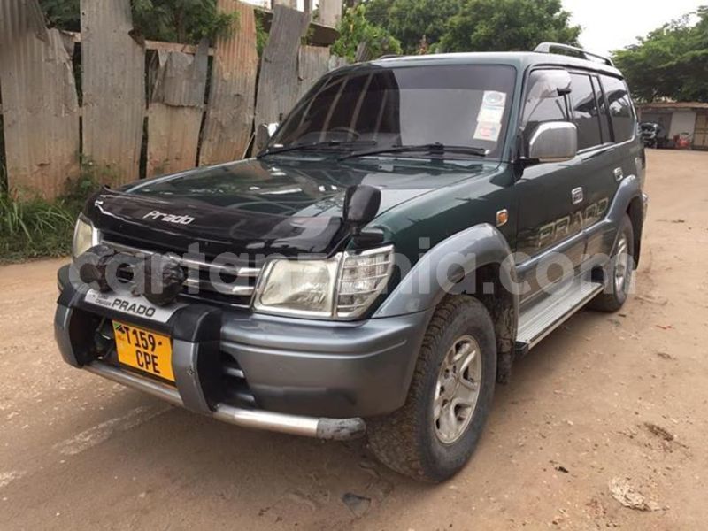 Big with watermark 51838842 524210758087859 8361719718020644864 n