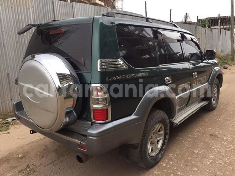 Big with watermark 51902600 524210858087849 5122937927248117760 n