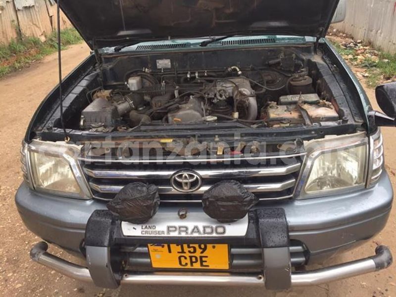 Big with watermark 51939216 524210881421180 9114082453659582464 n