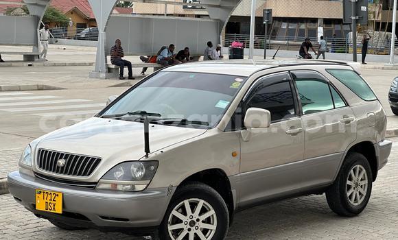 Nunua Ilio tumika Toyota Harrier Beige Gari ndani ya Dar es Salaam nchini Dar es Salaam Nunua Ilio tumika Toyota Harrier Beige Gari ndani ya Dar es Salaam nchini Dar es Salaam