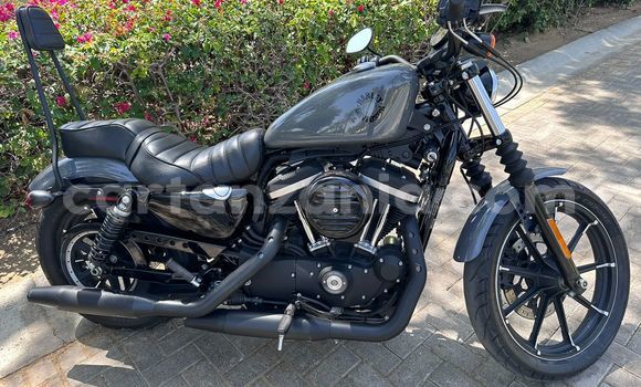 Buy Used Harley Davidson IRON Silver Bike in Arusha in Arusha