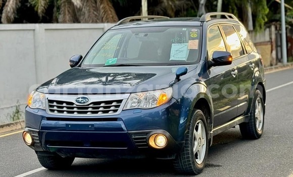 Buy Used Subaru Forester Blue Car in Bagamoyo in Pwani Buy Used Subaru Forester Blue Car in Bagamoyo in Pwani