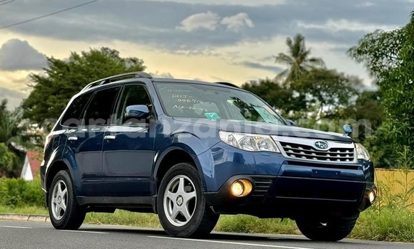 Buy Used Subaru Forester Blue Car in Bagamoyo in Pwani Buy Used Subaru Forester Blue Car in Bagamoyo in Pwani