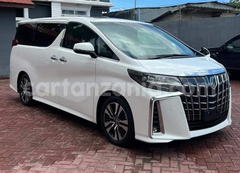 Big with watermark toyota alphard kagera biharamulo 21351