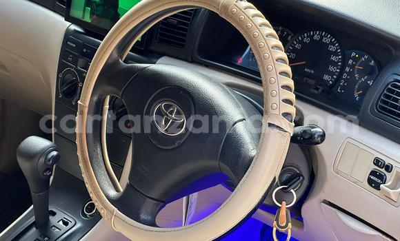 Buy Used Toyota Allex White Car in Dar es Salaam in Dar es Salaam Buy Used Toyota Allex White Car in Dar es Salaam in Dar es Salaam