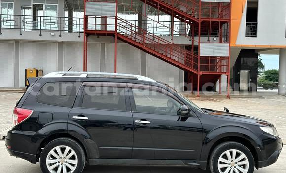 Nunua Ilio tumika Subaru Forester Nyeusi Gari ndani ya Dar es Salaam nchini Dar es Salaam Nunua Ilio tumika Subaru Forester Nyeusi Gari ndani ya Dar es Salaam nchini Dar es Salaam