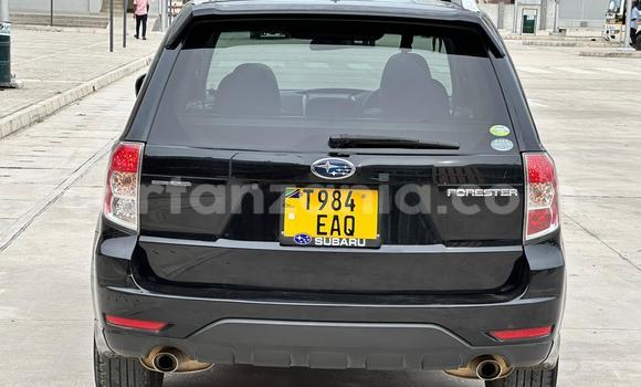 Nunua Ilio tumika Subaru Forester Nyeusi Gari ndani ya Dar es Salaam nchini Dar es Salaam Nunua Ilio tumika Subaru Forester Nyeusi Gari ndani ya Dar es Salaam nchini Dar es Salaam