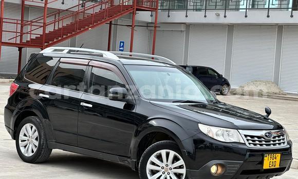 Nunua Ilio tumika Subaru Forester Nyeusi Gari ndani ya Dar es Salaam nchini Dar es Salaam Nunua Ilio tumika Subaru Forester Nyeusi Gari ndani ya Dar es Salaam nchini Dar es Salaam