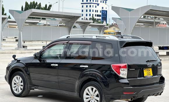 Nunua Ilio tumika Subaru Forester Nyeusi Gari ndani ya Dar es Salaam nchini Dar es Salaam Nunua Ilio tumika Subaru Forester Nyeusi Gari ndani ya Dar es Salaam nchini Dar es Salaam
