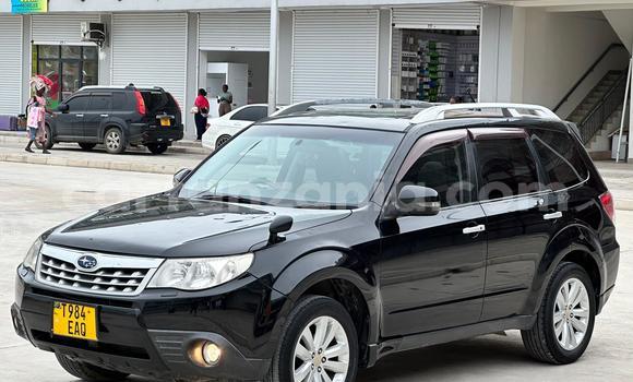 Nunua Ilio tumika Subaru Forester Nyeusi Gari ndani ya Dar es Salaam nchini Dar es Salaam Nunua Ilio tumika Subaru Forester Nyeusi Gari ndani ya Dar es Salaam nchini Dar es Salaam