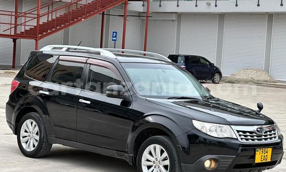 Nunua Ilio tumika Subaru Forester Nyeusi Gari ndani ya Dar es Salaam nchini Dar es Salaam Nunua Ilio tumika Subaru Forester Nyeusi Gari ndani ya Dar es Salaam nchini Dar es Salaam