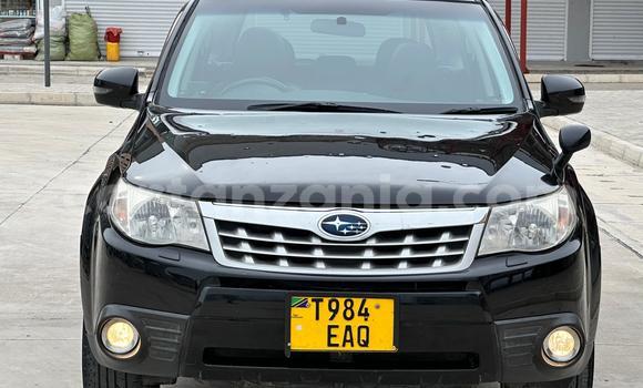 Nunua Ilio tumika Subaru Forester Nyeusi Gari ndani ya Dar es Salaam nchini Dar es Salaam Nunua Ilio tumika Subaru Forester Nyeusi Gari ndani ya Dar es Salaam nchini Dar es Salaam