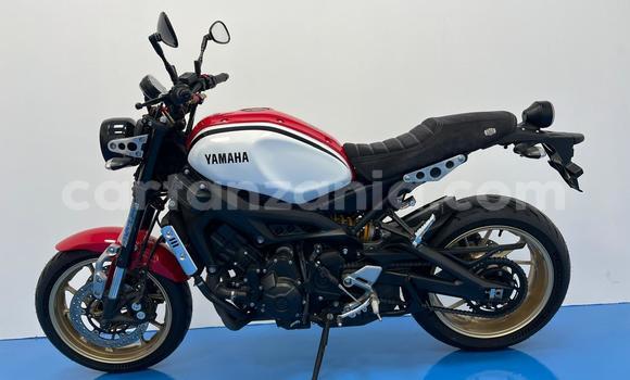 Buy Used Yamaha XSR Red Bike in Arusha in Arusha