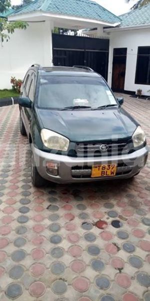 Big with watermark 51952957 2119487831460676 538122078922997760 n