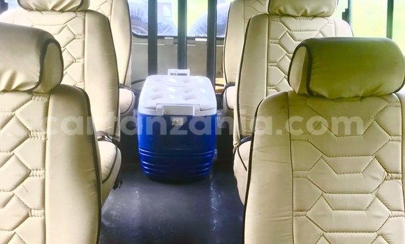 Buy Used Toyota Land Cruiser Beige Car in Arusha in Arusha Buy Used Toyota Land Cruiser Beige Car in Arusha in Arusha