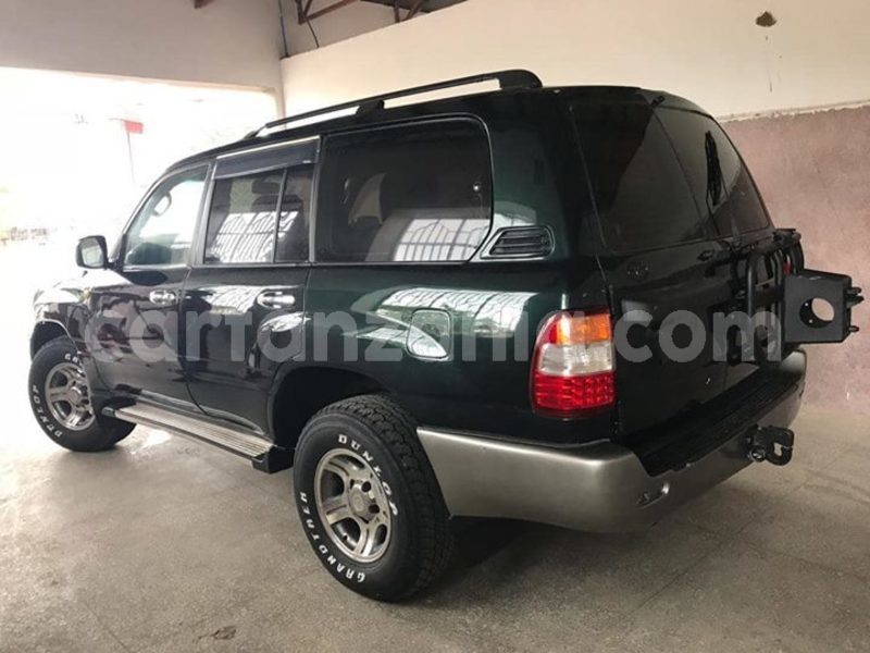 Big with watermark 51968952 2119185734824219 9188221126856146944 o