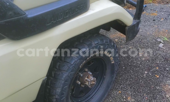 Buy Used Toyota Land Cruiser Beige Car in Arusha in Arusha Buy Used Toyota Land Cruiser Beige Car in Arusha in Arusha
