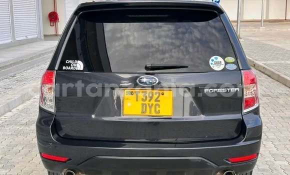 Buy Used Subaru Forester White Car in Dodoma in Dodoma