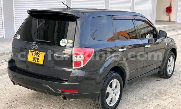 Nunua Ilio tumika Subaru Forester Nyeupe Gari ndani ya Dodoma nchini Dodoma Nunua Ilio tumika Subaru Forester Nyeupe Gari ndani ya Dodoma nchini Dodoma