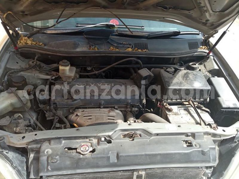 Big with watermark 52531019 194081428218903 6880376461019054080 o