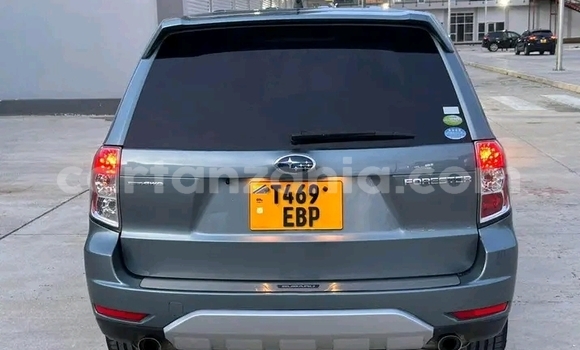 Buy Used Subaru Forester Green Car in Dodoma in Dodoma Buy Used Subaru Forester Green Car in Dodoma in Dodoma